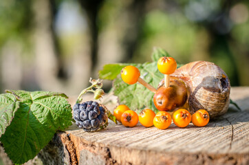 creative ideas for autumnal craft with children
