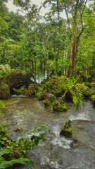 river in the forest of tarapoto in peru