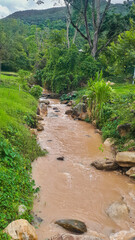 Fototapeta na wymiar river path in the fores of tarapoto peru