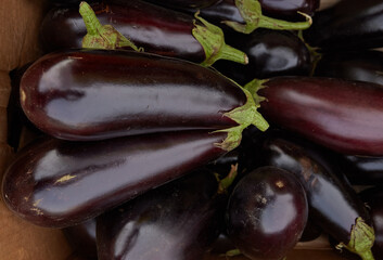 Heap of fresh eggplants close up