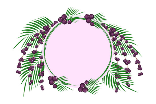 Background with superfood acai berries, branches and leaves. Organic healthy food. Vector flat illustration.