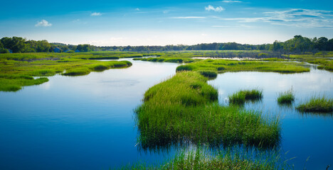 Panoramic seascape of curving blue waterway dividing the green marsh meadow