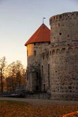 Fototapeta na wymiar Autumn Park With Old Castle Ruins in Cesis, Latvia. 13th Century Ancient Livonian Castle
