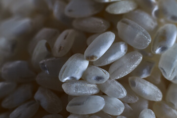 Close up of various grains of rice