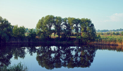 Dawn on the river.Vegetation is reflected in calm water.