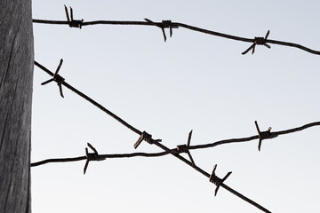 Old barbed wire against a pale sky. Barbed wire closeup.