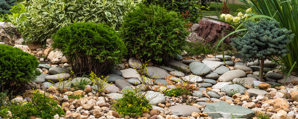 Fragment of a decorative alpine slide, landscape design - rockery with conifers, alpine herbs and...