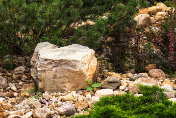 Fragment of a decorative alpine slide, landscape design - rockery with conifers, alpine herbs and shrubs, stones and large pebbles