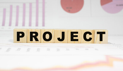PROJECT the word on wooden cubes, cubes stand on a reflective surface, in the background is a business diagram. Business and finance concept