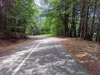 Fototapeta premium Grameni Oksia Aitoloakarnania, Greece