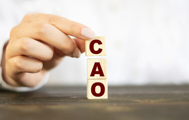 Businesswoman made word CAO with wood building blocks.