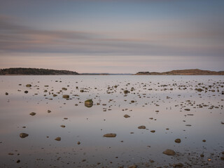 Hundreds of small rocks lying on the sea bed is exposed because of the low tide. It is a quiet early spring morning. The water is still like a mirror with diffuse clouds reflecting in this seascape.