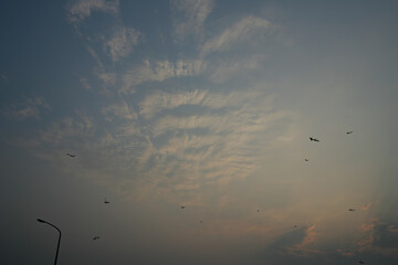 Many kites flying in the sky at old Nanliao Fishing Harbor