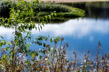 cozy cityscapes in the park near the river