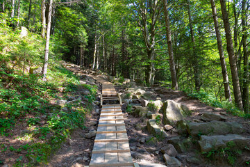 Fototapeta na wymiar Handmade wooden pedestrian staircase in forest mountains