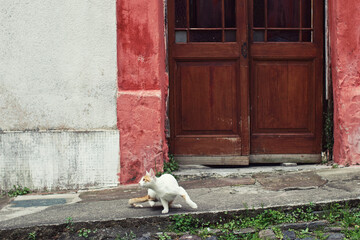 Fototapete bei efototapeten.de bestellen   