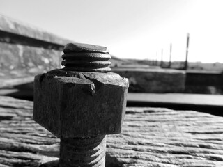 Naklejka premium nut on train tracks - black and white