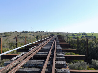 railway bridge over the forest