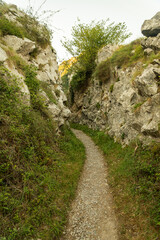 Fototapeta na wymiar mountain forest senda del oso asturias tunnel