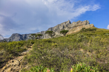 Fototapeta na wymiar Table Mountain overlooking the city of Cape Town, South Africa. Table Mountain is the most iconic landmark of South Africa.