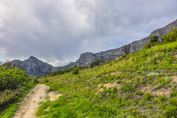 Obraz premium Table Mountain overlooking the city of Cape Town, South Africa. Table Mountain is the most iconic landmark of South Africa.