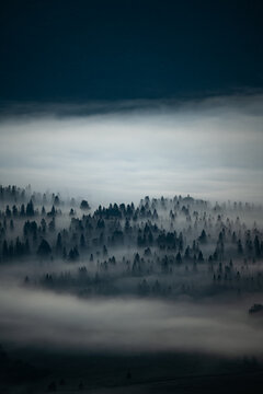 Sunrise over the mountain forest. Bieszczady National Park. Carpathian Mountains. Poland. © Szymon Bartosz