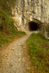 mountain forest senda del oso asturias tunnel