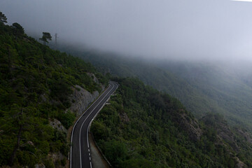 Foggy road in Italy