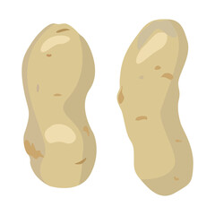 Potatoes isolated illustration in flat style