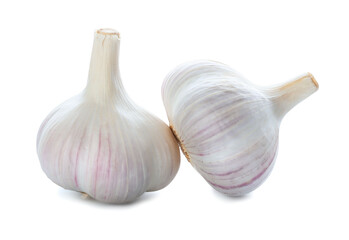 Fresh garlic on white background