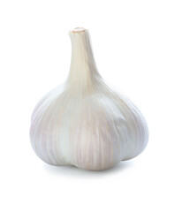 Fresh garlic on white background