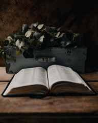 opened old book on the table