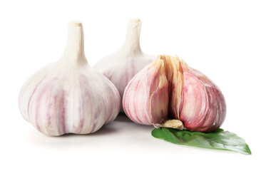 Fresh garlic on white background