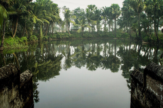 Abandoned pond. India
