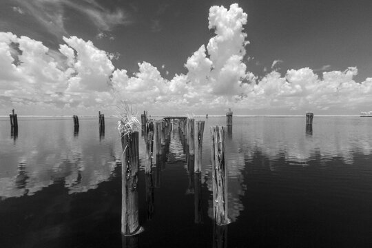 Abandoned Wooden Docks