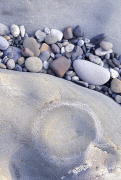 Natural metate stone for grinding grain in Native American cultures, Ruby Beach, Washington