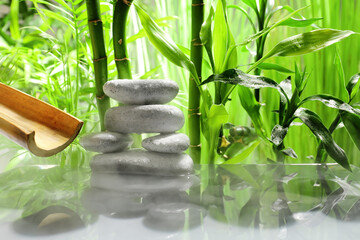 Lake with stack of spa stones in tropical garden