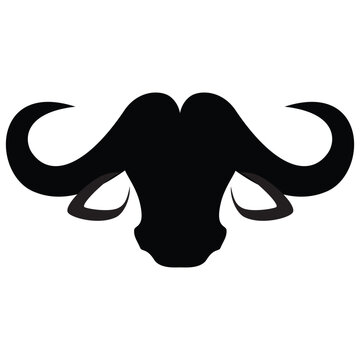 Buffalo head, vector illustration