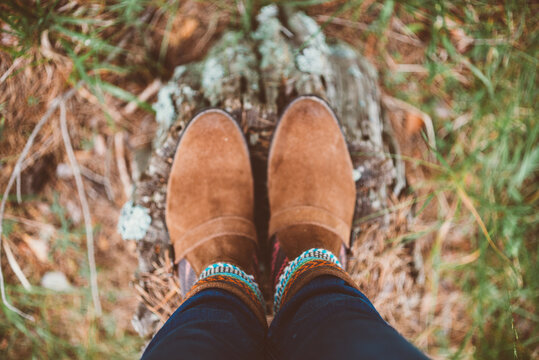 autumn shoes on the stump