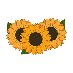 Fototapeta premium 3 Sunflowers with leaves design element