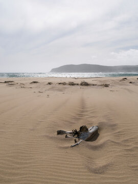 View of the Robberg nature Reserve neat Plettenberg Bay in South Africa