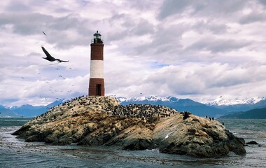 Penguins at the lighthouse. View from a boat in Ushuaia, 