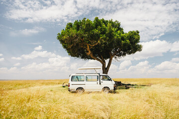 Safari Car Stopped under Tree