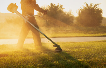 Gardener mows the lawn with a lawn mower early in the morning at dawn. Lawn and parkland care....