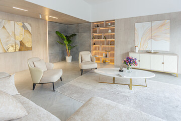 modern interior design of the living area in the studio apartment in warm soft colors. decorative...