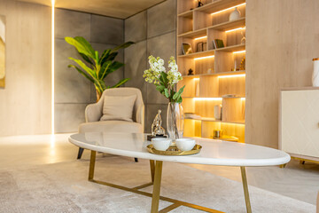 modern interior design of the living area in the studio apartment in warm soft colors. decorative...