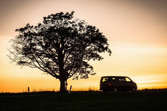 Tree at Sunset with car