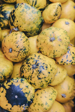 Pattypan Squash as Among Trendy Vegetables and Foods Found in Farmer's Produce Market