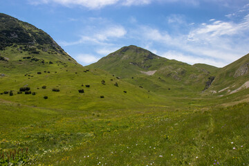 Lovely green fields leading to a mountain