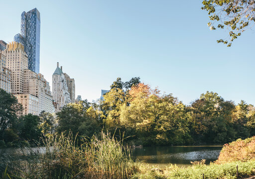 View of New Slivers of New York Residential Towers Skyline in Midtown Manhattan from Central Park